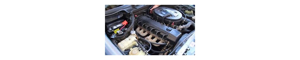 3.0 L6 170CV (G300)