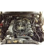 6.0 V8 330CV (6.0 AMG)