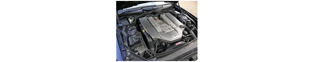 5.0 V8 296CV (G500)