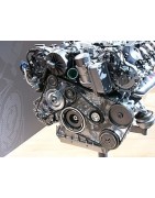 5.5 V8 387CV (G550)