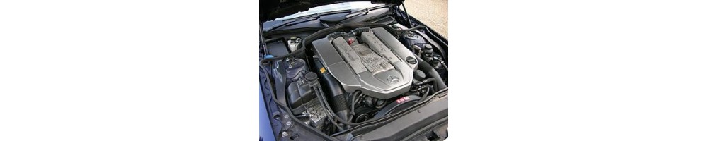 5.5 V8 354 à 507 CV (G 55 AMG)