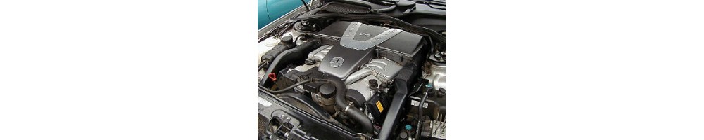 6,3 V12 443CV (G 63 AMG)